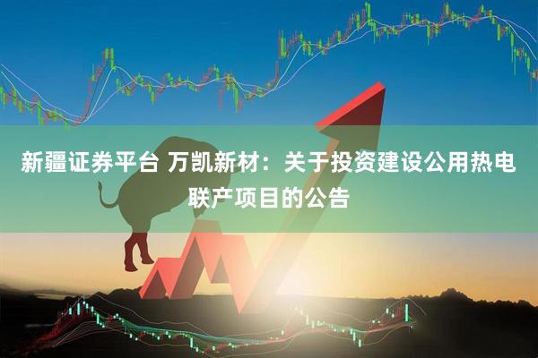 新疆证券平台 万凯新材：关于投资建设公用热电联产项目的公告