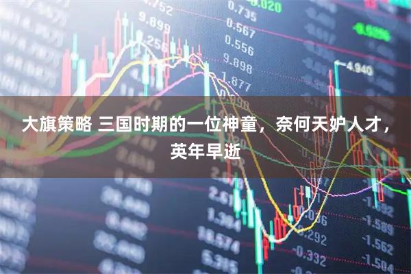 大旗策略 三国时期的一位神童，奈何天妒人才，英年早逝