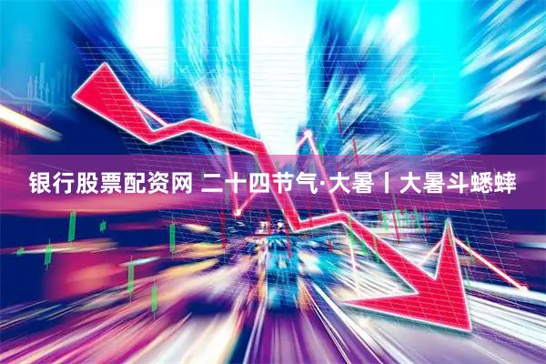 银行股票配资网 二十四节气·大暑丨大暑斗蟋蟀